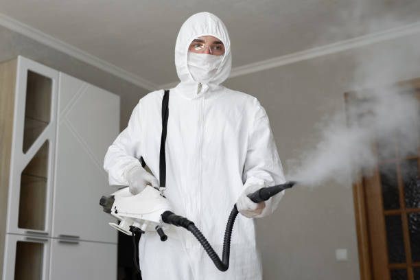 Best Basement Mold Removal  in Kensington Park, FL